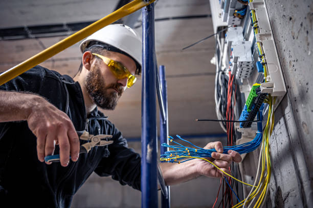 Best Local Electrician Companies  in Dane, WI